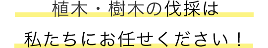 庭木・植木の剪定・刈込は 私たちにお任せください!